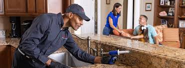 Best Real Estate Pest Inspections  in Sterling, GA